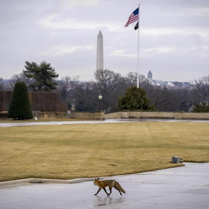 Pentagon: Chinese spy balloon spotted over Western US